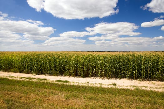  rural road in the summer time year