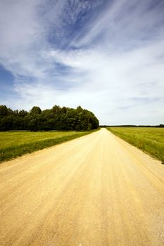  rural road in the summer time year