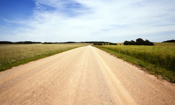  rural road in the summer time year