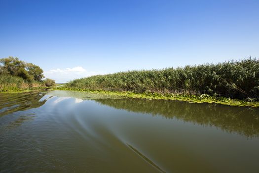 Lake Skadar in Montenegro