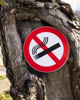 sign forbidding smoking, pinned on a tree