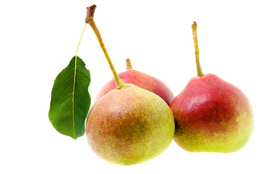 ripe pears, photographed on a white background