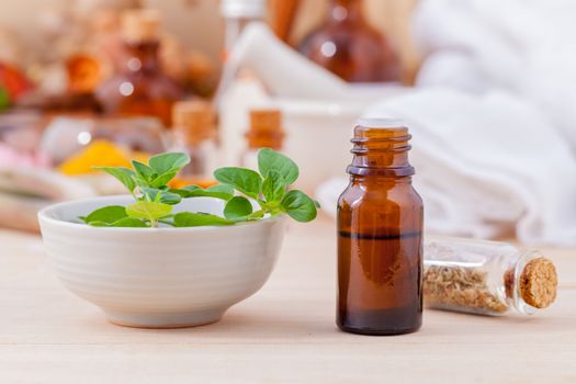 Natural Spa Ingredients essential oil with oregano leaves for aromatherapy setup on spa ingredients background.