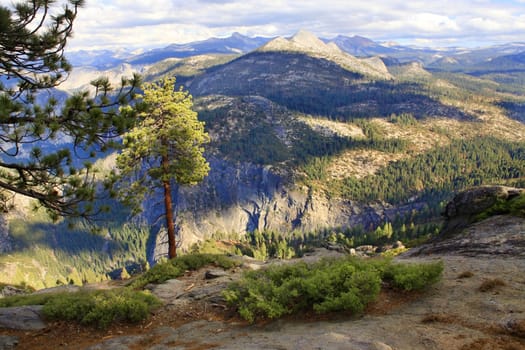 Yosemite National Park in California. United States of America