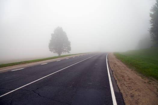  road autumn. tree 