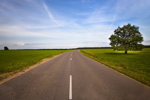 little asphalted road in the summer time