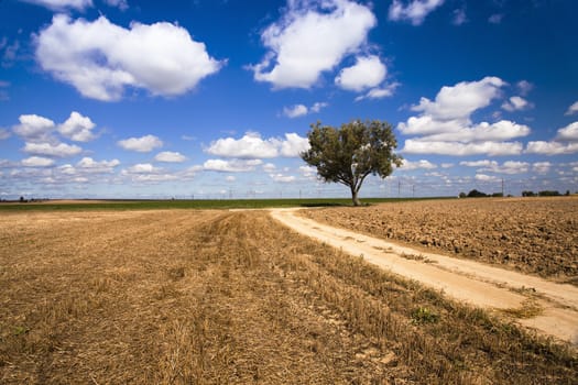   the rural road passing through the plowed-up agricultural field