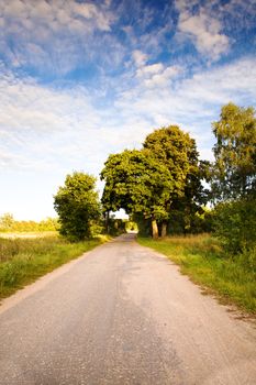 little asphalted road in the summer time