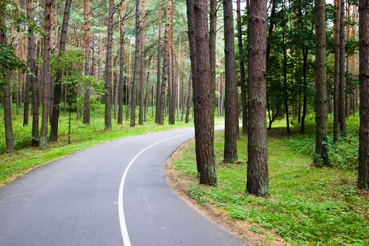 little asphalted road in the summer time