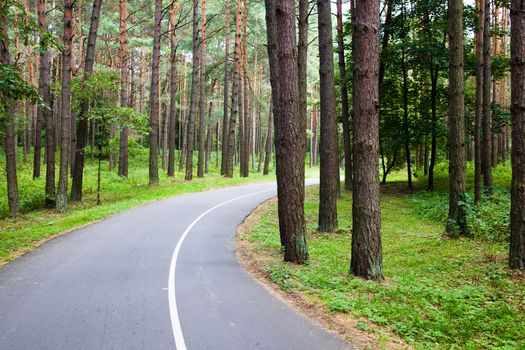 little asphalted road in the summer time