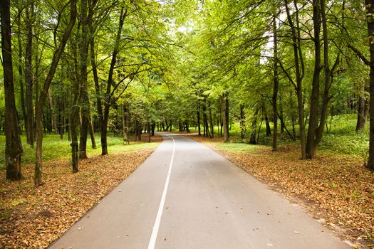 little asphalted road in the summer time