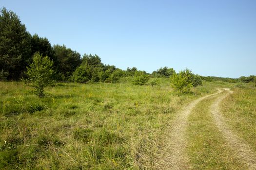 not paved rural road in the summer time year