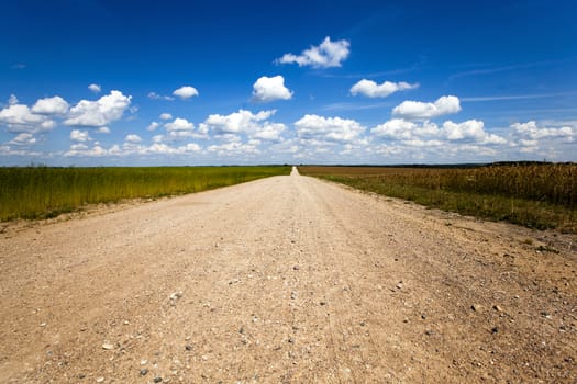   the rural not asphalted road passing through an agricultural field