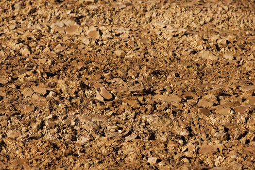   Brown land. close up