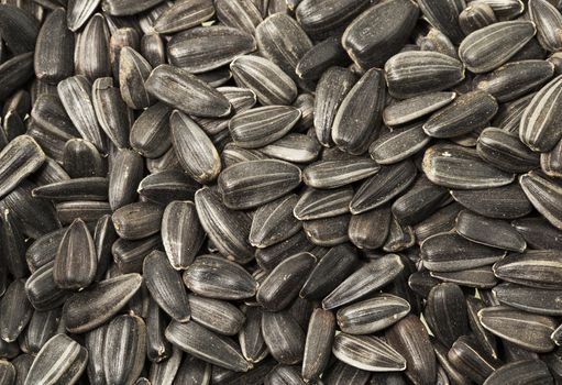 sunflower seeds - sunflower put together