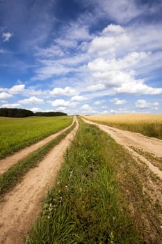  rural road in the summer time year