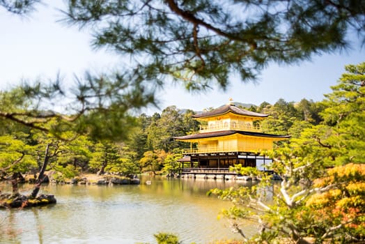 Kinkakuji (Golden Pavilion) is a Zen temple in northern Kyoto whose top two floors are completely covered in gold leaf.