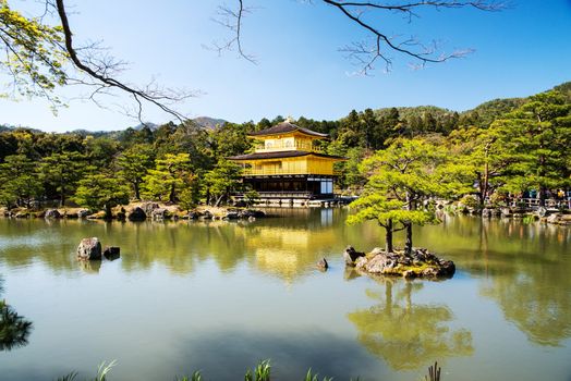 Kinkakuji (Golden Pavilion) is a Zen temple in northern Kyoto whose top two floors are completely covered in gold leaf.