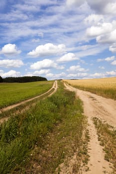  rural road in the summer time year