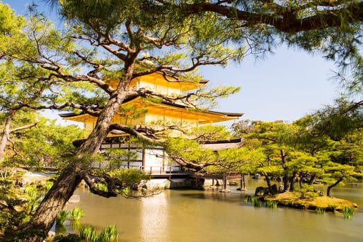 Kinkakuji (Golden Pavilion) is a Zen temple in northern Kyoto whose top two floors are completely covered in gold leaf.