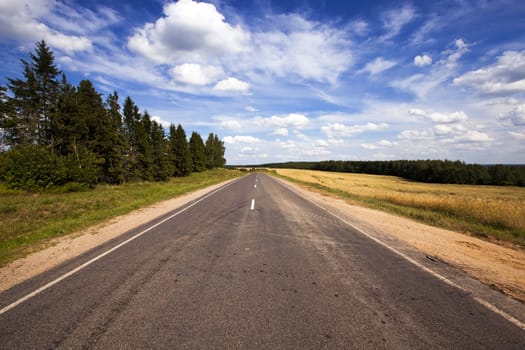   the asphalted road to summertime of year. at the edges of the road on a height the grass and trees (wood) grows