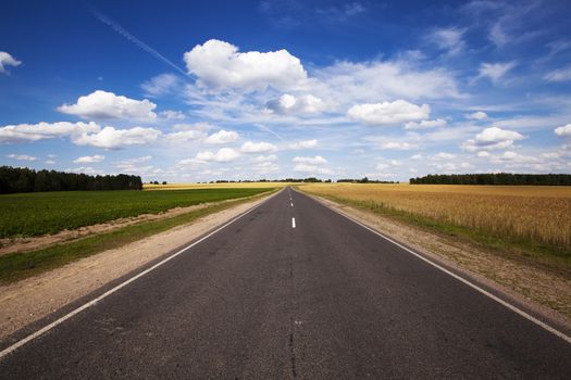 little asphalted road in the summer time