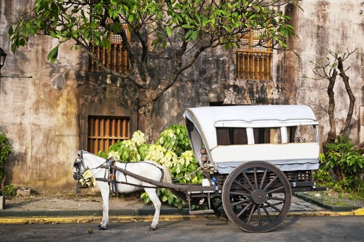 Horse Drawn Calesas waiting for tourists  in Intramuros, a historical part of Manila.
