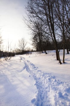   the traces of last person left on snow. winter season
