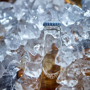 Bottle of beer is in ice. Shallow dof