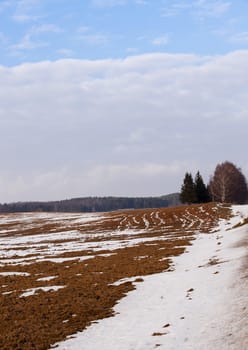   the plowed agricultural field during thaw. Winter.