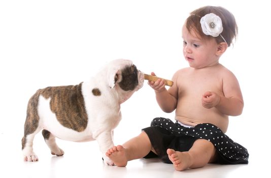 child feeding a puppy a dog bone