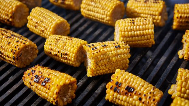 Organic Grilled Corn on the Cob Ready to Eat