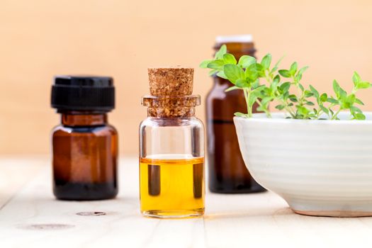 Bottle of essential oil and lemon thyme  leaf  on wooden background.