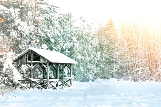 Winter conceptual image. Winter in the forest. Trees and small wooden house covered with snow.
