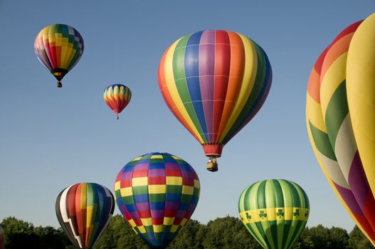 Various hot-air balloons with colorful envelopes ascending or launching at a ballooning festival