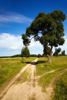 rural road in the summer time year
