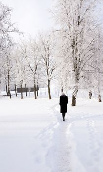  the girl going on a footpath in park. winter season