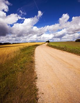   two not asphalted rural roads which are passing nearby
