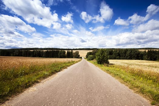  the asphalted road to summertime of year.