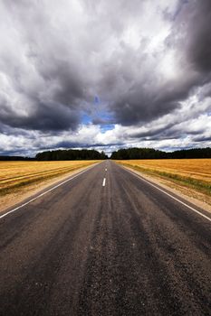   the asphalted road to an autumn season. Belarus