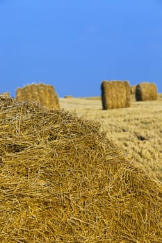   lying on an agricultural field a straw stack after cleaning of cereals