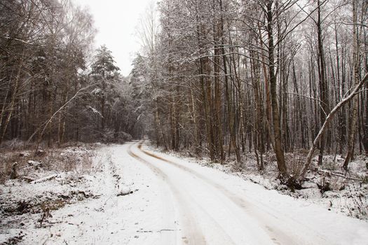 the road covered with snow in a winter season