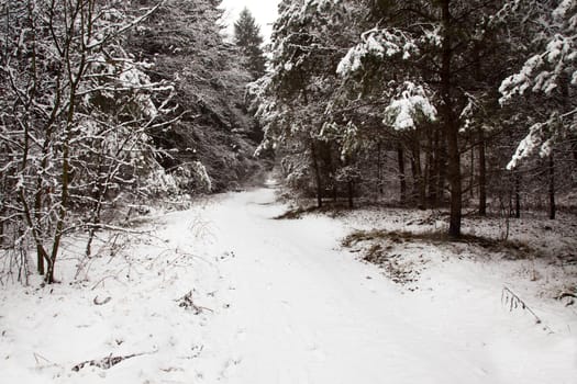 the road covered with snow in a winter season