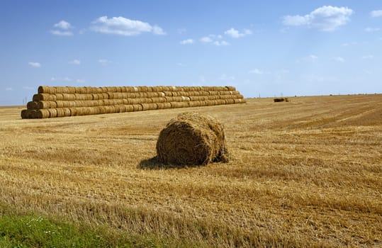   stack the straw lying on an agricultural field after cleaning of cereals