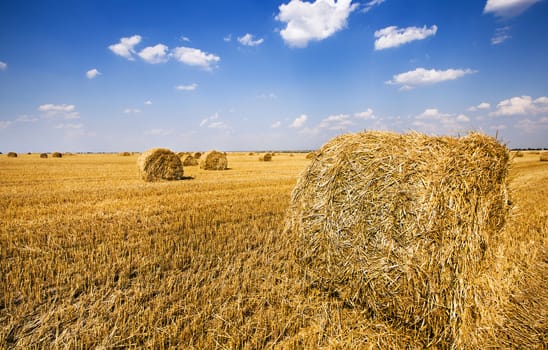   the straw put in a stack after the harvest  of cereals