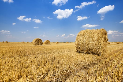   the straw put in a stack after the harvest  of cereals