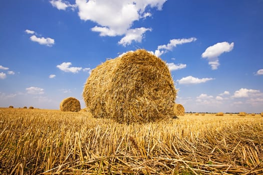   straw which was twisted in a stack after last harvest company