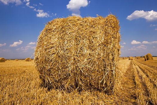   lying on an agricultural field a straw stack after cleaning of cereals