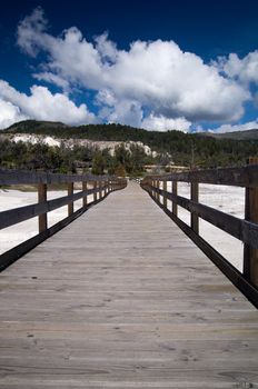 Boardwalk over thermal areas Mammoth Hot Springs, Yellowstone National Park, Wyoming