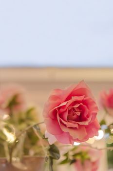 Bouquet of plastic roses and in ceramic vase